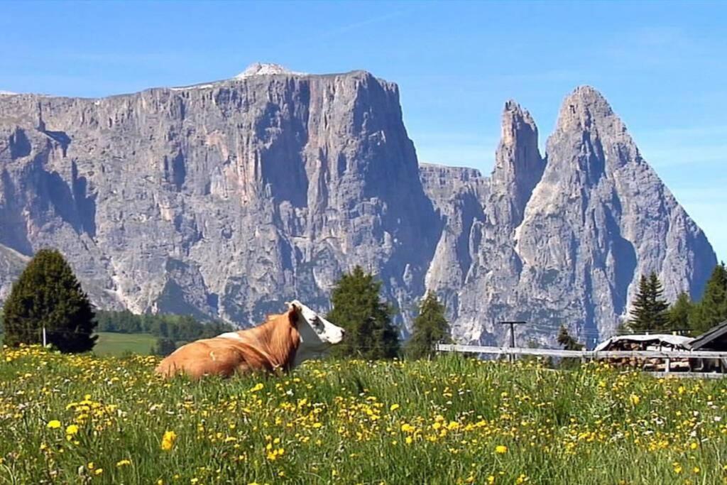 شقة Fantastico Monolocale In Siusi Sciliar المظهر الخارجي الصورة